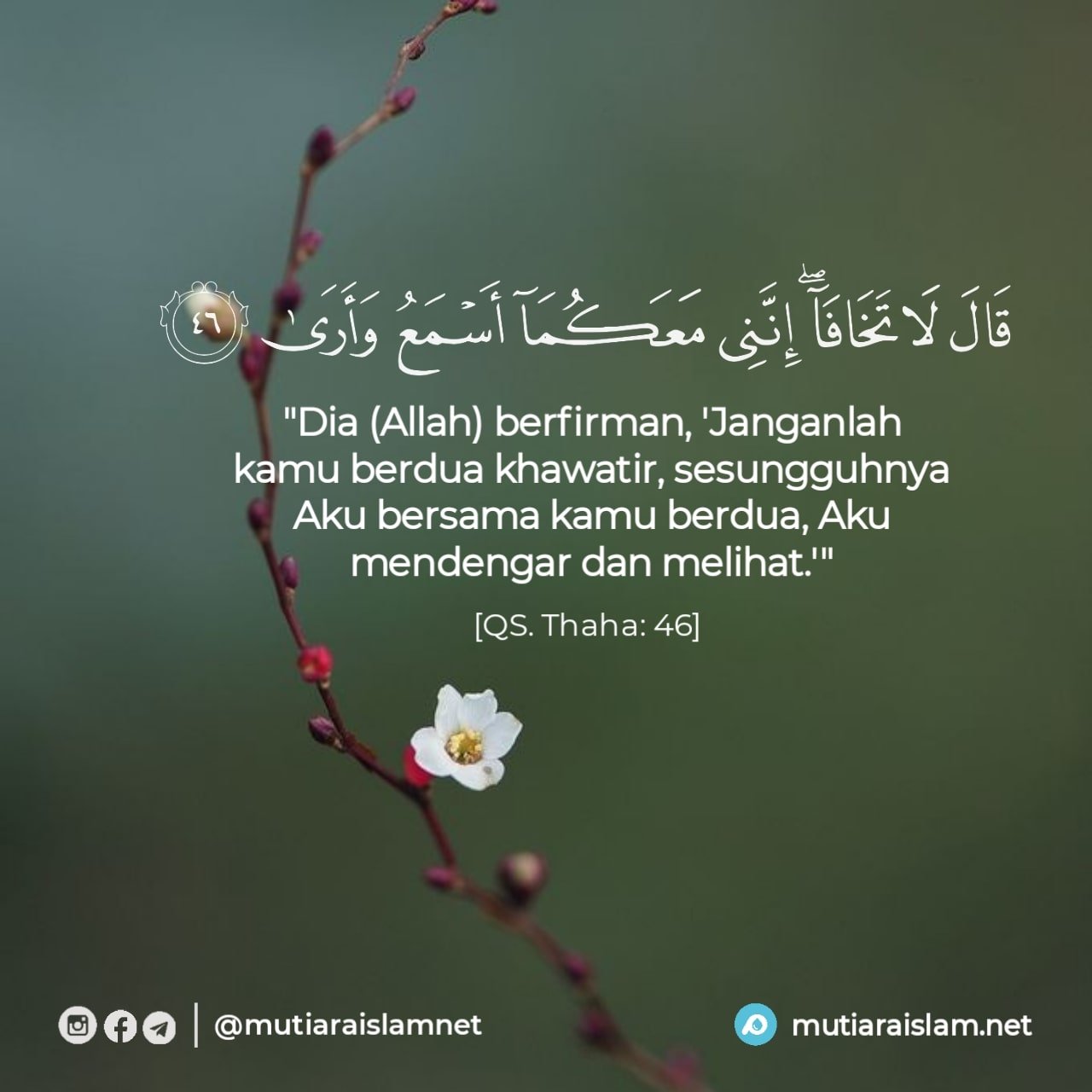 Quotes Alquran Terbaik Penuh Nasihat Inspirasi Dan Motivasi