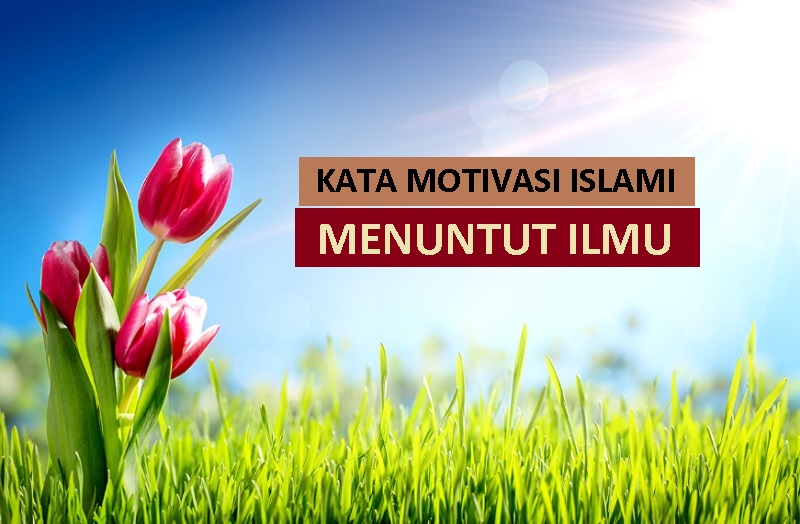 29 Kata Motivasi Islami Tentang Menuntut Ilmu Pengetahuan