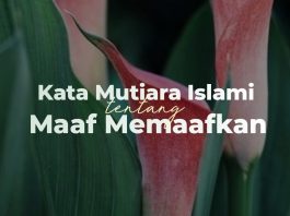 kata mutiara islami tentang maaf memaafkan