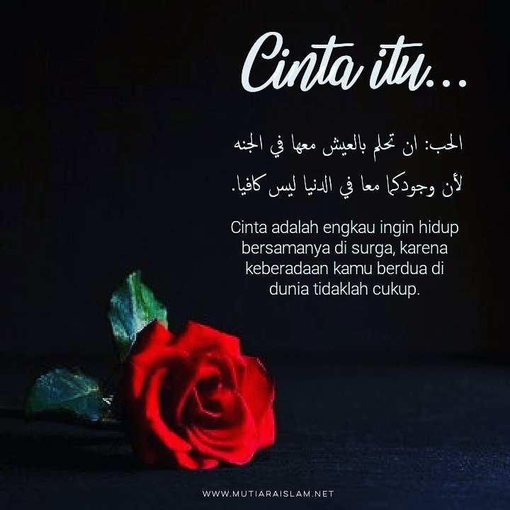 770 Gambar Kata Motivasi Cinta Islam HD Terbaru