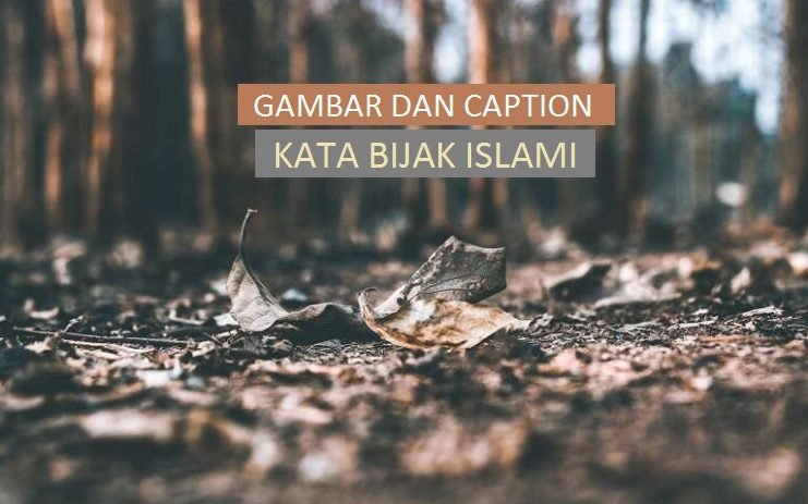 kumpulan gambar dan caption kata bijak islami