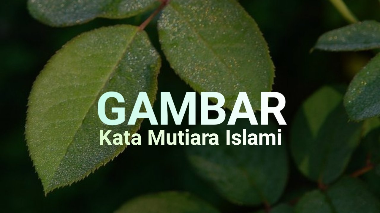 45 Gambar Kata Mutiara Islami, Nasehat Indah Penuh Inspirasi